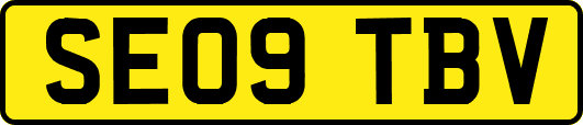 SE09TBV