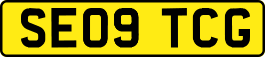 SE09TCG