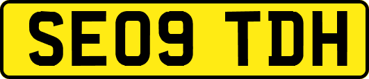 SE09TDH