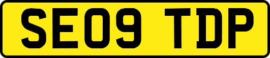 SE09TDP