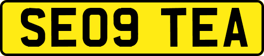 SE09TEA