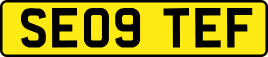 SE09TEF