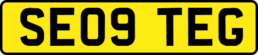 SE09TEG