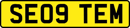 SE09TEM