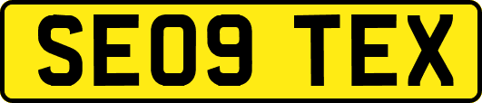 SE09TEX