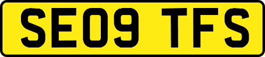 SE09TFS