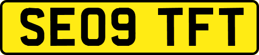 SE09TFT