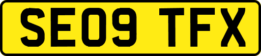 SE09TFX