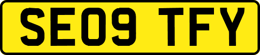 SE09TFY