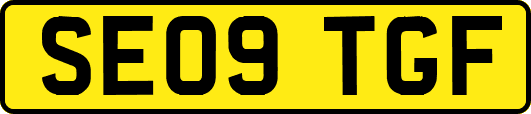 SE09TGF