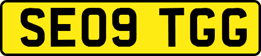SE09TGG