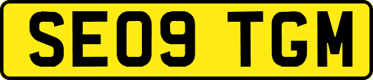 SE09TGM