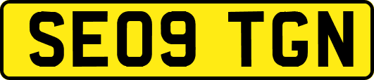 SE09TGN