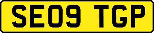 SE09TGP