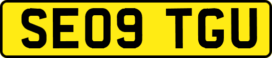 SE09TGU