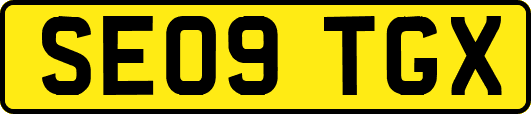 SE09TGX