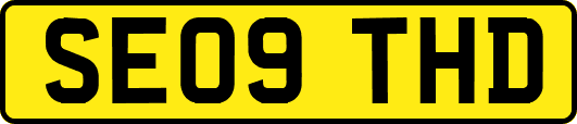 SE09THD