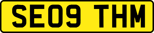 SE09THM