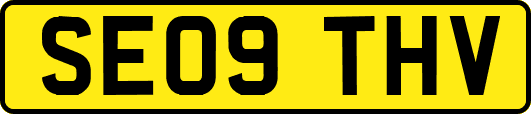 SE09THV