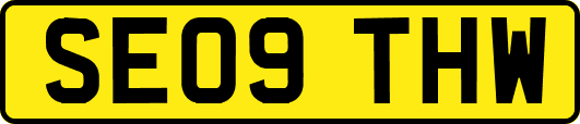 SE09THW