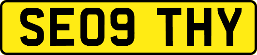 SE09THY