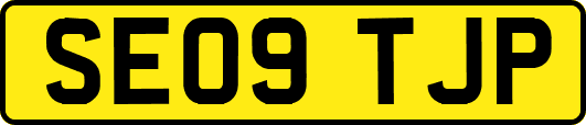 SE09TJP