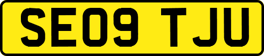 SE09TJU
