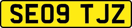 SE09TJZ