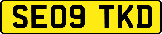 SE09TKD
