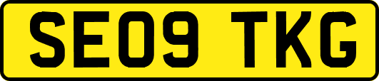 SE09TKG