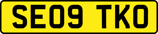 SE09TKO