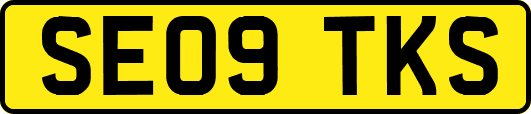 SE09TKS