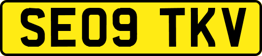 SE09TKV