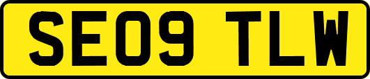 SE09TLW