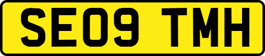 SE09TMH