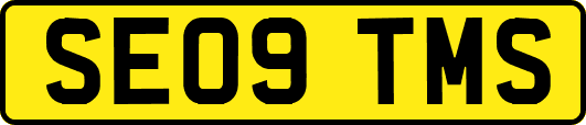 SE09TMS