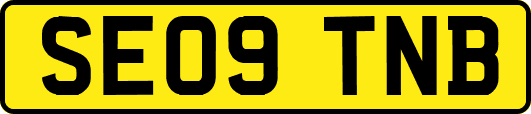 SE09TNB