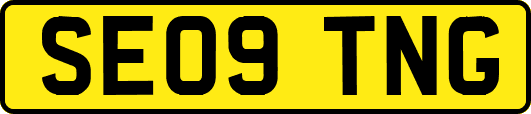 SE09TNG