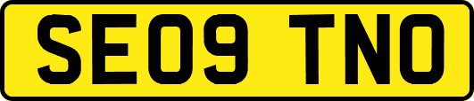 SE09TNO