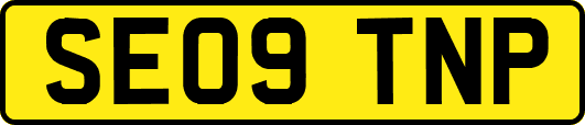 SE09TNP