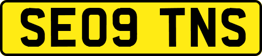 SE09TNS