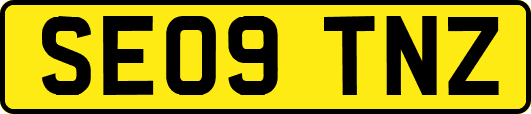 SE09TNZ