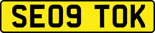 SE09TOK