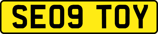 SE09TOY