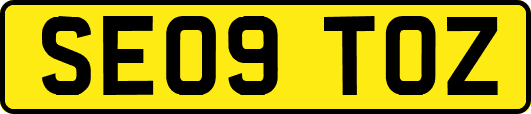 SE09TOZ