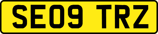 SE09TRZ
