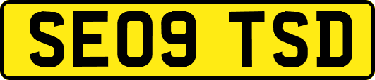 SE09TSD
