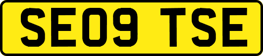 SE09TSE
