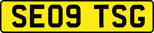 SE09TSG