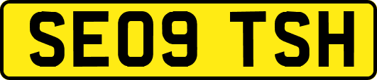 SE09TSH